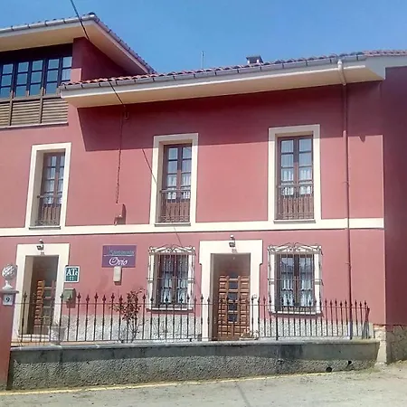 Ovio * Nueva