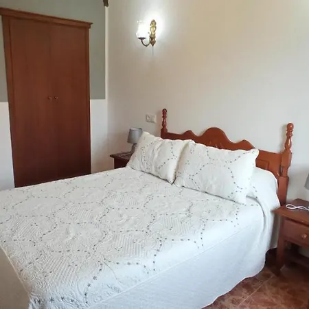 Ovio * Nueva